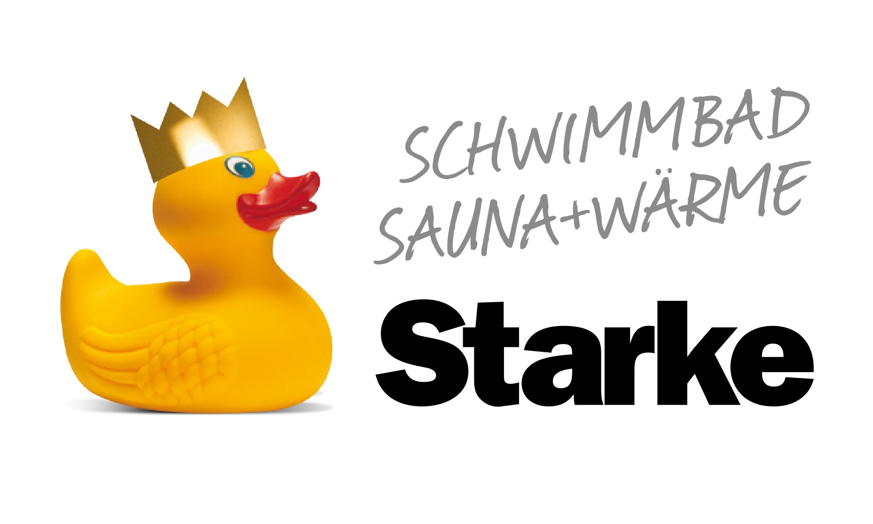 Schwimmbadbau, Pools, SwimSpas, Saunen & Infrarot Starke Bäder Nürnberg